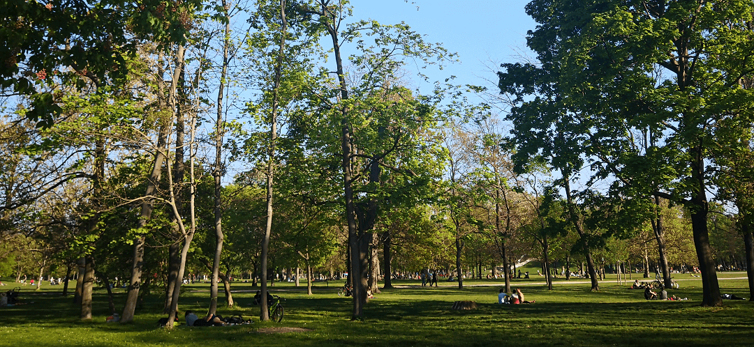 Park stock image by Corinne Chiba