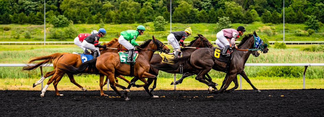 Horse racing by Luis Negron