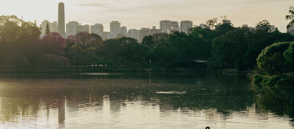 Ibirapuera Park in São Paulo by Vitor LVZ on Unsplash