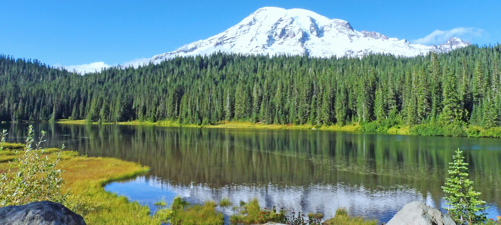 Lake in Seattle by Faye Beckert on Unsplash