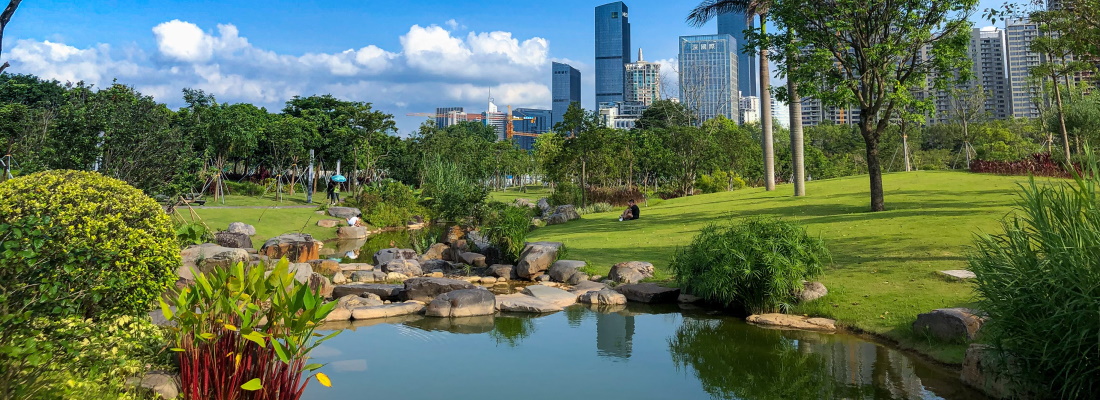 Photo by Zean Wu on Unsplash, Shenzhen