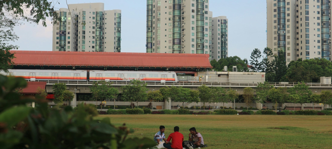 Singaporeans picnic in a park as an MRT passes in the background