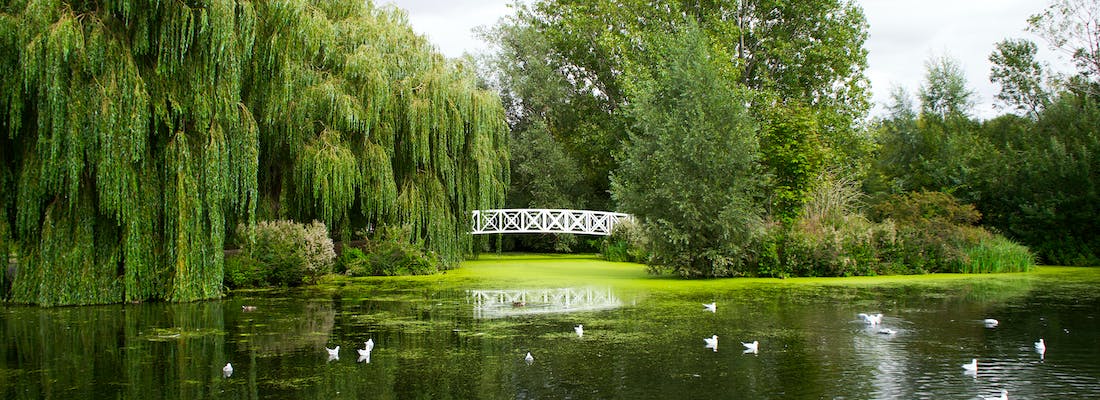 View of a park by Mike Bird