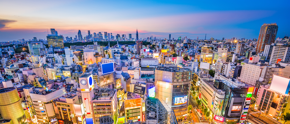 Panoramic view of Tokyo