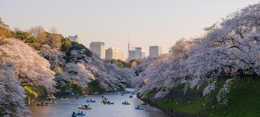 Yu Kato via Unsplash