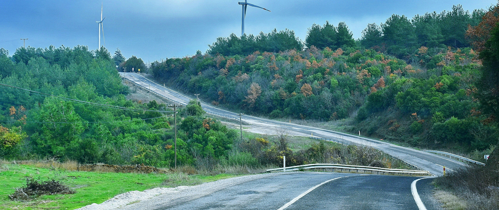 Road in Şarköy, Tekirdağ, Türkiye by Rusyena on Unsplash