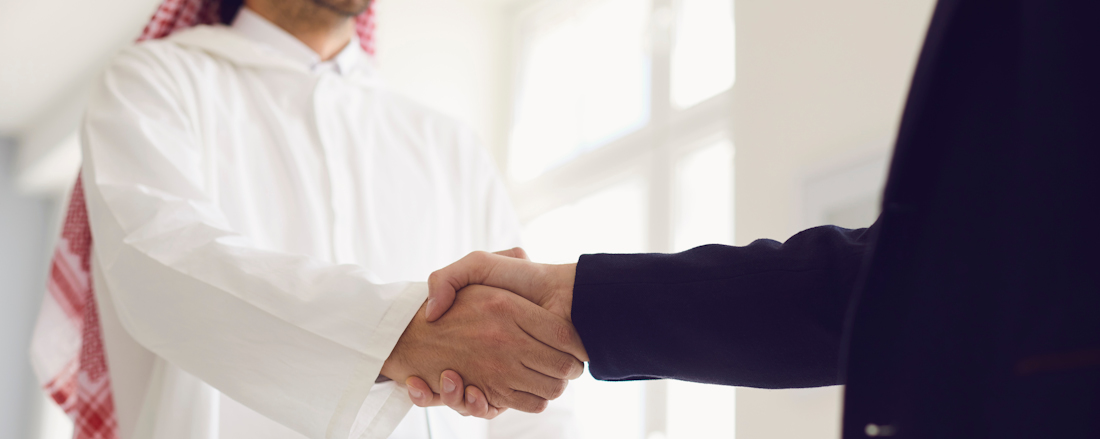 Two businesspeople shaking hands