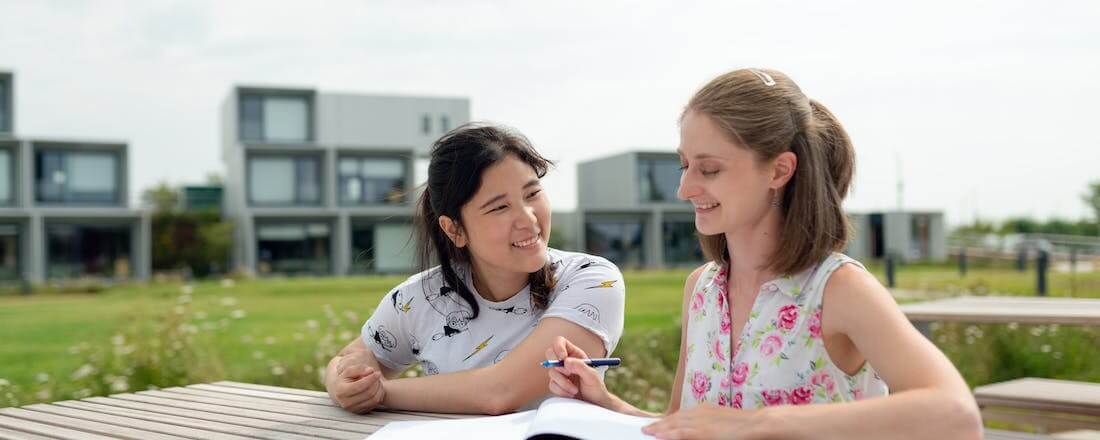 Tutor working with student