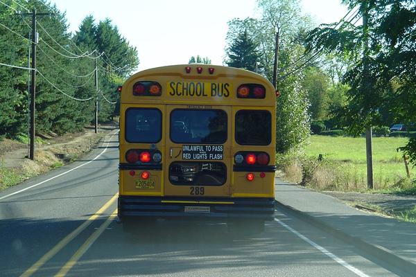 international school